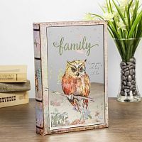 Сейф книга "Филин" рисунок на зеркале 24х16х5 см фото