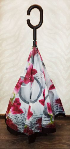    Umbrella    2