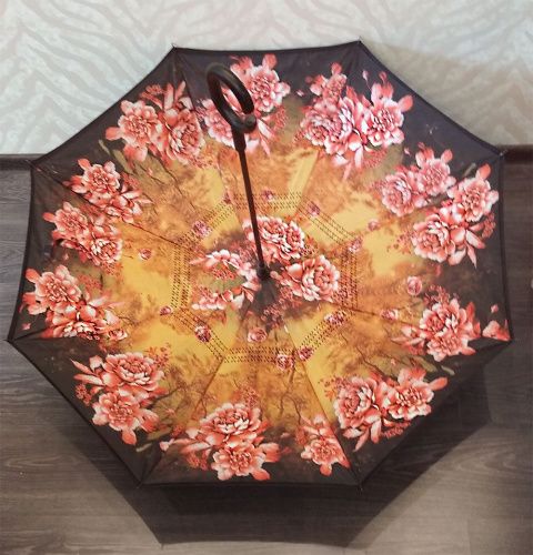   Umbrella    4
