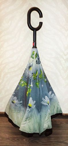    Umbrella    2
