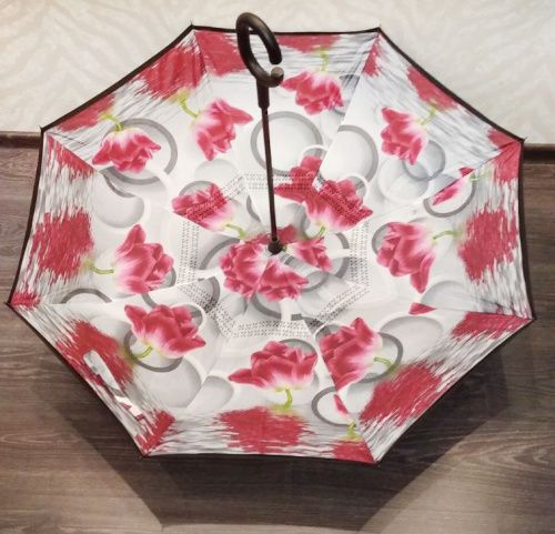    Umbrella    3