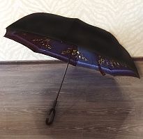   Umbrella   