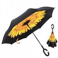    Umbrella   