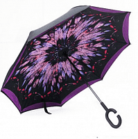    Umbrella   