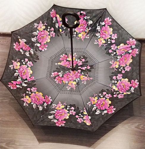    Umbrella    4