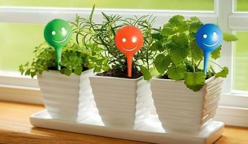     Plant Genie   2