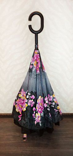    Umbrella    3