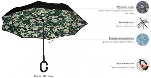    Umbrella    6