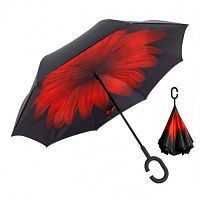    Umbrella   