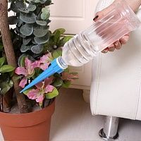     Watering Spike 