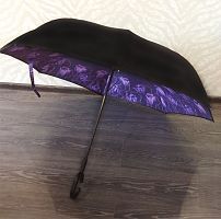    Umbrella   