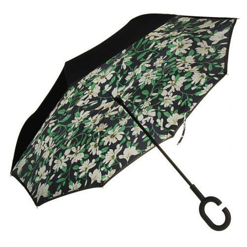    Umbrella    2