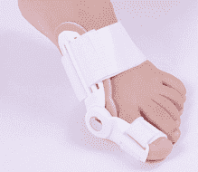    Hallux 2 . 