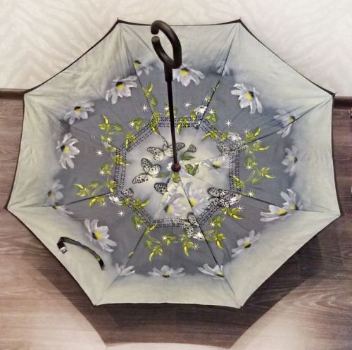    Umbrella    4