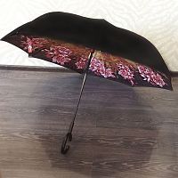    Umbrella  