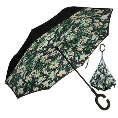    Umbrella  