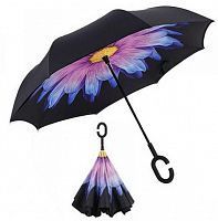    Umbrella   