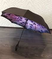    Umbrella   