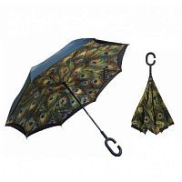    Umbrella   
