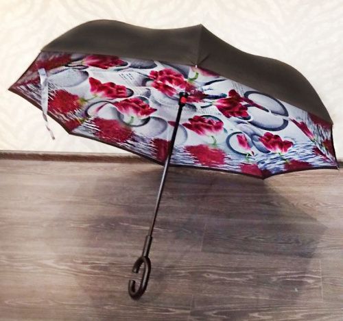   Umbrella  