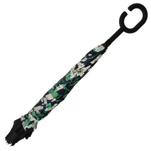    Umbrella    4